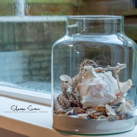 Carpe Diem By Urban Casa de Férias *