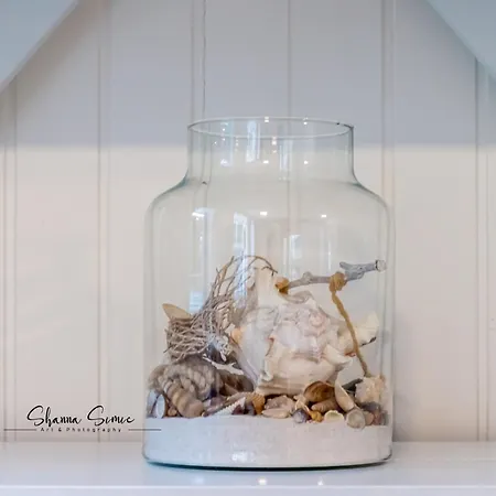 Tatil Evi Carpe Diem By Urban