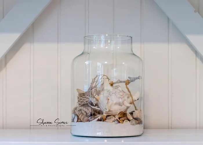 Tatil Evi Carpe Diem By Urban