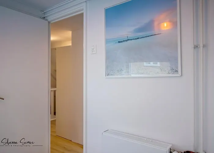 Carpe Diem By Urban *